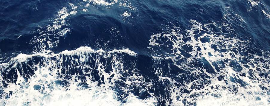 A wave in the ocean

Description automatically generated with low confidence