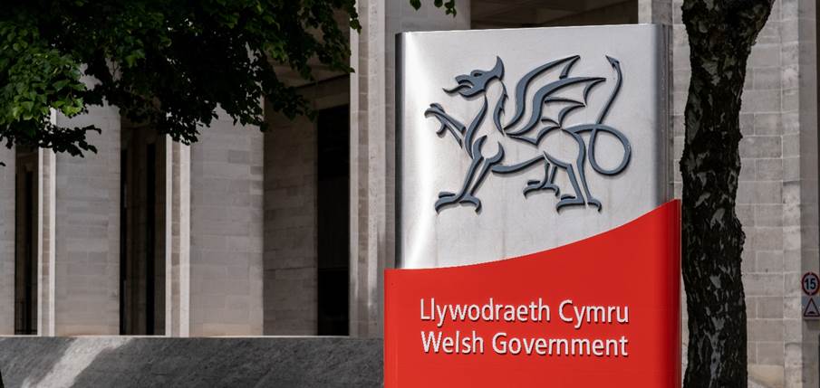 A sign with a dragon and a tree in front of it

Description automatically generated